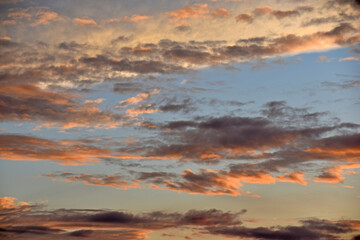 Fototapeta premium Sunset horizon with red clouds in the summer in the field