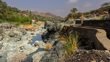 Wadi Al Hoqain village with Date palms in rustaq, oman.