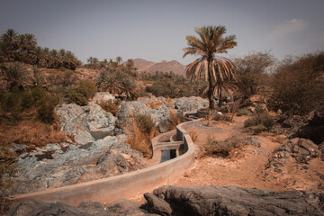 Wadi Al Hoqain village with Date palms in rustaq, oman.