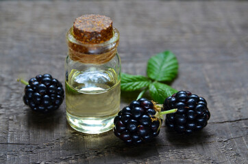 Blackberry seed essential oil in a glass bottle for skin care, naturopathy and wellness.Rubus...
