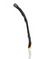 Burned match isolated on white background, clipping path