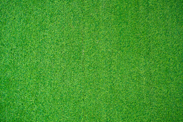 grass field background. green grass. green background