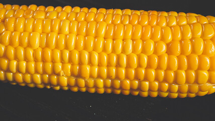 Delicious corn on the cob captured in an extreme close up with a macro lens. The brightly glowing yellow kernels form a recognizable pattern. The cob was quickly boiled in lightly salted water.