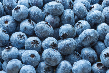 Blue crop variety blueberries top view background