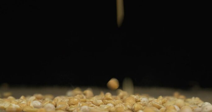 Falling ripe peas grains. Big heap of peas seeds, close-up. Isolated