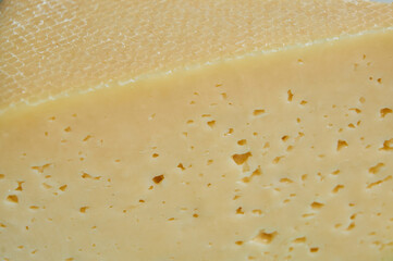 Cheese with wholes close up structure