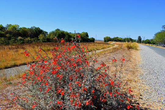 Coyote Creek Trail in Milpitas, CA.
