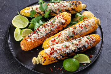 Elotes, Grilled Mexican Street Corn on a plate