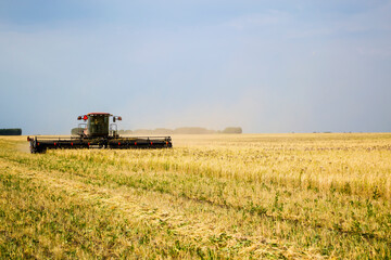 A swather cuts a field of wheat near 