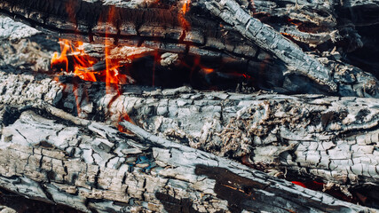 campfire texture