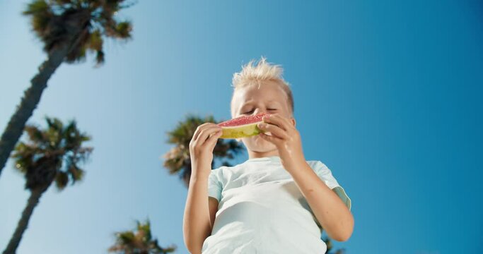 Little young boy enjoying slice of water melon at the sunny summer day in the park. Kid showing snapped slice of fruit at the palm trees and blue sky background