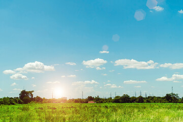 A field where electricity poles can be seen in the distance with the sunlight and the blue sky,...