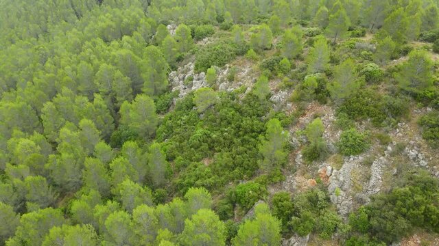 It's a cloudy day in Coll de Rates