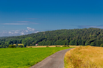 Sommerwanderung entlang des Rennsteigs bei schönstem Sonnenschein