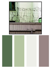 color palette from image