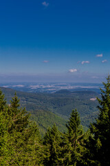 Sommerwanderung entlang des Rennsteigs bei schönstem Sonnenschein