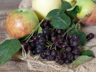 black rowan and apples on a wooden table