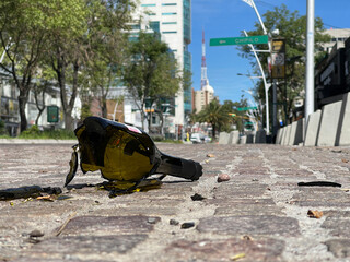 Close up of broken alcohol bottle in the street