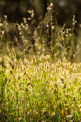 Obraz premium nature views with hills, mountains and rivers in malaga andalusia spain 