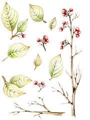 Beautiful autumn tree branches, leaves and berries. Unusual autumn, watercolor and black pen, handmade