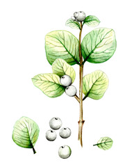 Beautiful autumn tree branches, leaves and berries. Unusual autumn, watercolor and black pen, handmade