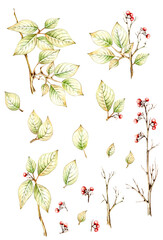 Beautiful autumn tree branches, leaves and berries. Unusual autumn, watercolor and black pen, handmade