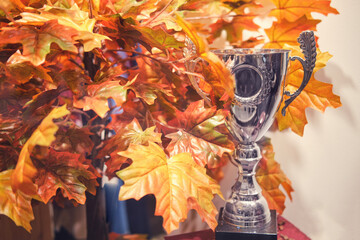 Sports cup with a bouquet of yellow autumn maple leaves