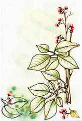 Beautiful autumn tree branches, leaves and berries. Unusual autumn, watercolor and black pen, handmade