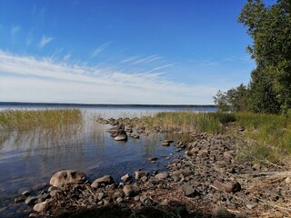 lake in the forest, landscape.