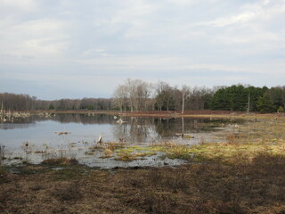 The beautiful scenery of the Beaver Run Dam Wildlife Viewing Area, in the Quehanna Wild Area, Moshannon State Forest, Weedville, Elk County, Pennsylvania.