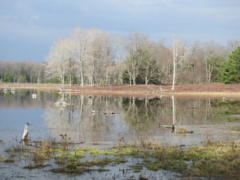 The Beautiful Scenery Of The Beaver Run Dam Wildlife Viewing Area, In The Quehanna Wild Area, Moshannon State Forest, Weedville, Elk County, Pennsylvania.