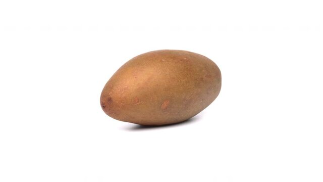 One whole sapodilla fruit is rotating on white background.