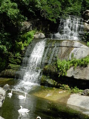 waterfall in the forest