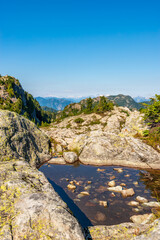 Fragment of Mount Seymour trail in Vancouver, Canada.