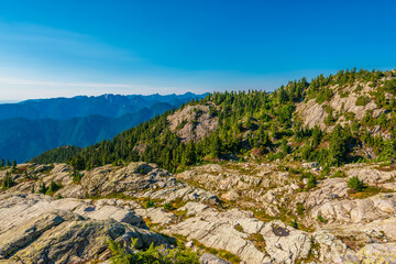 Fototapeta na wymiar Fragment of Mount Seymour trail in Vancouver, Canada.