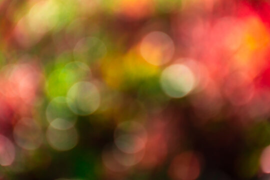 Backdrop or background of yellow, red, pink and green colors. Special defocus image for interesting shiny pattern with colored spots, bokeh.