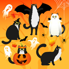 Halloween vector set of funny cats