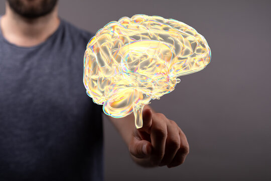 3d rendered medically accurate illustration brain