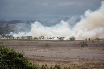 Fototapeta na wymiar A large fire destroys vegetation in the area of a farm. 