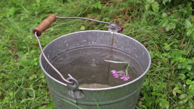 Metal bucket with water at the time of summer rain