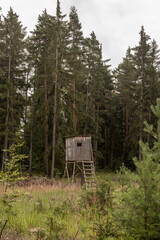 Jagd Kanzel am Waldrand