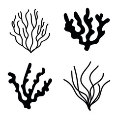 brown seaweed. edible medicinal set