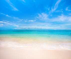 Sandy beach and beautiful tropical sea