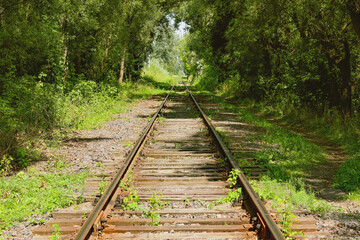 Vintage abandoned rails leading through the forest