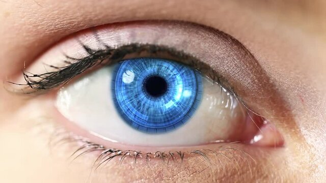 Macro Shot Of Young Female Blue Eye With Innovative Futuristic Sophisticated High Technology Hud Application With Augmented Reality Holograms. Internet Of Things, Surveillance System.
