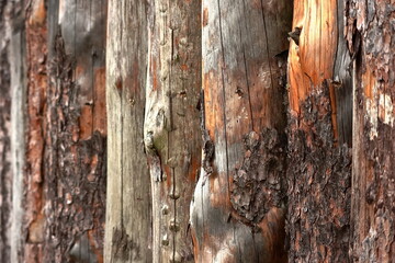 Palizzata. Pali di legno con la corteccia. steccato. 