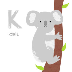 Animals alphabet. K for koala. Flat vector illustration on white background. Funny cartoon animal. Kids abc education. Learning English vocabulary. Zoo alphabet flash card