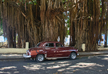 Classic car, Cienfuegos, Cuba