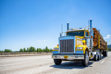 Bright yellow shiny day cab bonnet big rig semi truck transporting loaded with logs semi trailer driving on the wide multiline highway road