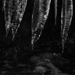 Icicles